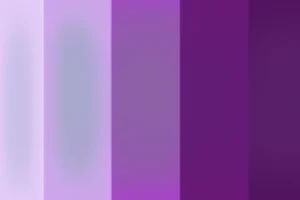 Purple gradient stripes from light lavender to deep plum