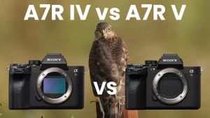 Sony A7V vs A7 IV vs A7R V