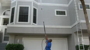 Homemade solution for cleaning vinyl siding