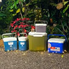 Different Types of coleman Coolers