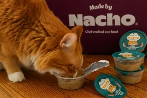 Cat eating Made by Nacho wet food