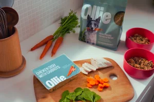 Ollie Dog Food Reviews with fresh chicken and carrots.