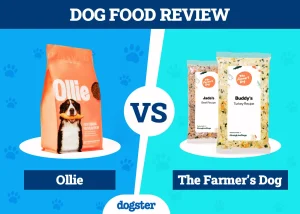 Ollie Dog Food Reviews comparing Ollie vs The Farmer’s Dog.