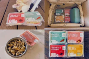 Ollie Dog Food Reviews showing meal packs