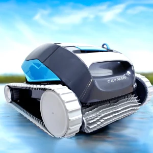 Dolphin robotic pool cleaner