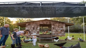 Enjoy shade fabric