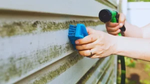 Removing mildew while cleaning vinyl siding