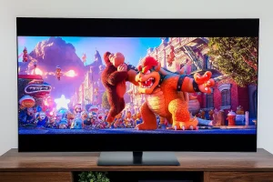 TV showing Donkey Kong vs Bowser