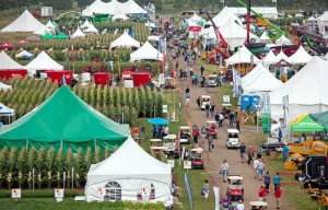 A wide view of Expo St Hyacinthe showcasing rows of white tents