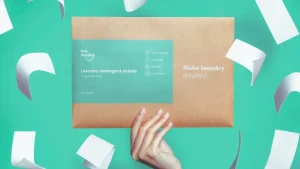 Hey Sunday laundry sheets pack held by hand