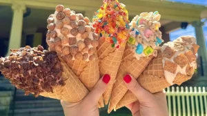 Soft Serve of Flavor Burst Ice Cream