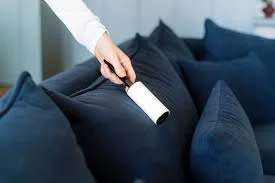 Using lint roller on couch cushion