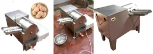 Egg Washers Work