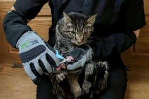 Protective Gloves