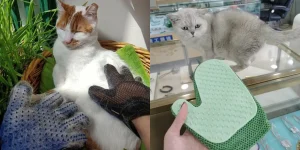Cat Gloves