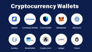 Different types of cryptocurrency wallets