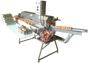 Egg cleaning tool