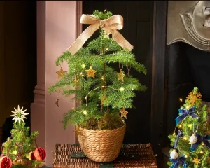 Christmas Party Tree