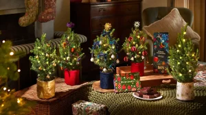 Small Christmas Tree