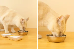 smalls cat food ingredients