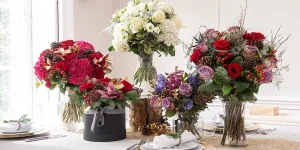 Christmas Flowers for Your Home