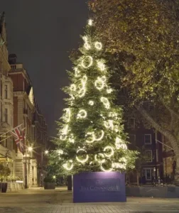 london real christmas tree 