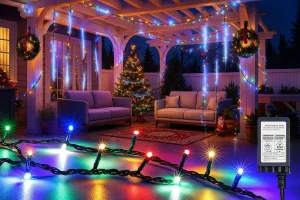 cheap christmas lights near me 