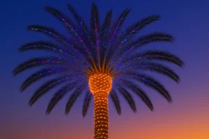 christmas palm