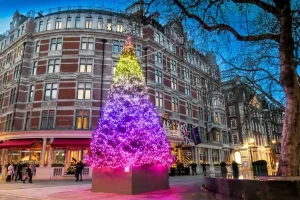 london christmas tree