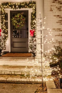 best outdoor christmas lights 
