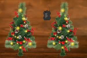 christmas plants outdoor 