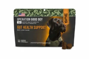 good boy ollie net worth 