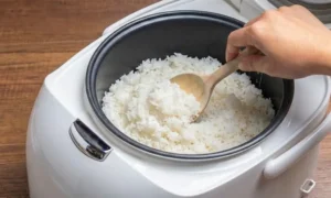 rice cooker how to use steamer 