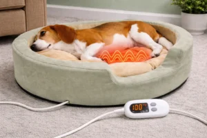 self heating pet bed nearby 