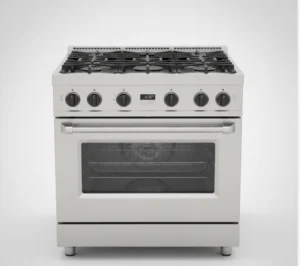 best gas stove with convection oven