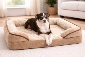 top cooling dog beds