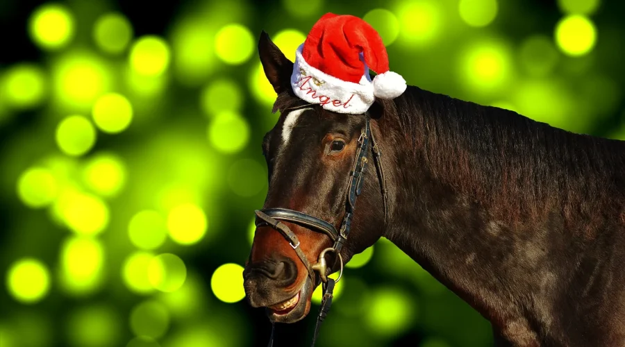 Christmas horse