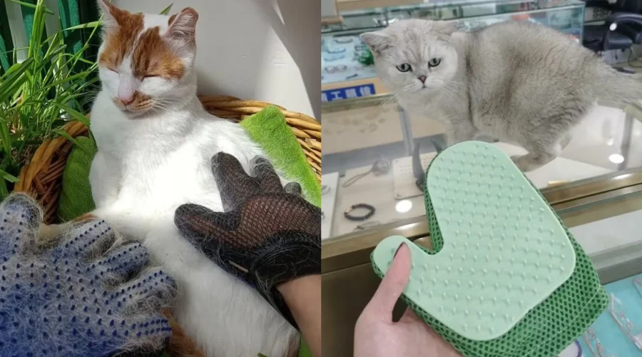 Cat Gloves