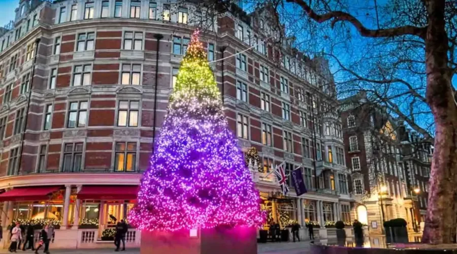 london christmas tree